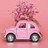 pink.car