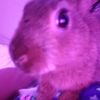jackie_12323
