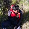 abim_bimntr