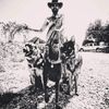 elderdog