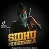 amirbashir030