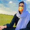 najeeb_gulli_315
