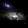 iatemycat43