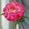 thanhtam.3139