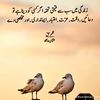 user855980182