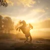 reddeadredemptionfr