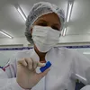 claranogueiralkma