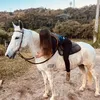 sarah_duarte03