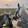 zaher.majda