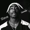 leon_canady1