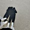 human280225