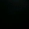 shlepa_abobus