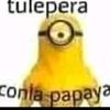 juan_camilin_pinguin