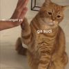 Usernotfound