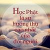 nguyen_th1_thanh_tam