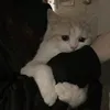 ryeouj