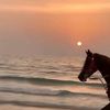khaled_225599