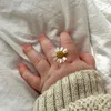 zahra_4