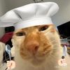 kaphraocat