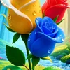 user429670160