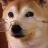 aanninui