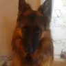 fiziobarba