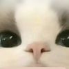 _puyfay2