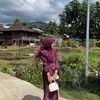 hiraaa_060112