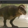 tyrannosaurusrex41