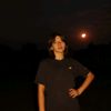 allexanrous