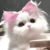 ebe_cutii_1