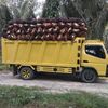 ikhwanhm01