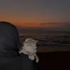 ursafeplace.z