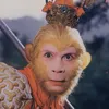 giaitri902025
