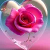 ferhad.mzuri