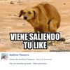 gabriellara35