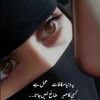 user2563186649488