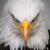 sargis.avagyan97