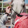Abu Omar