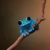 floppifrogs