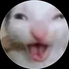 me_pica_el_tungtung