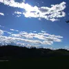 immaginasti