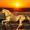 bandar_k7