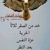 user6588861561228t