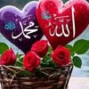 user5898528845477