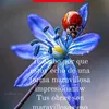 joseking59
