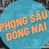 phongsaudongnai