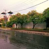 q.h_allenza