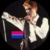 ziggystardust110
