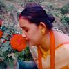 anjuchaudhary379